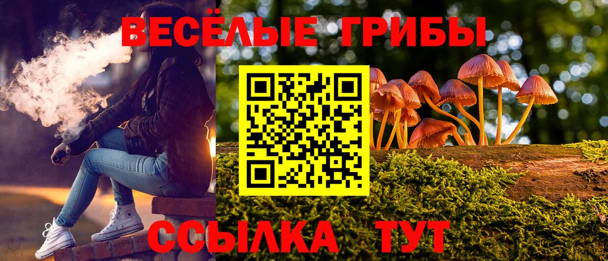 Чехов  Псилоцибиновые грибы ЛСД  Галлюциногенные грибы прущие грибы  Вход с VPN 