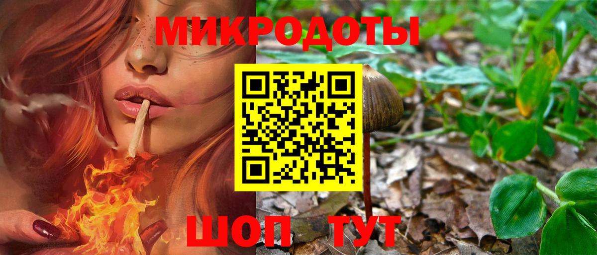 Галлюциногенные грибы мухоморы Чехов